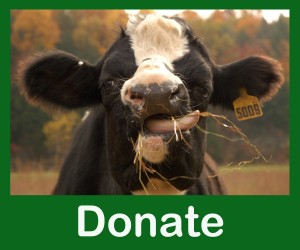 donate
