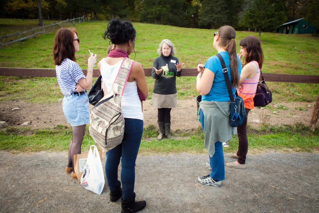 Jobs Catskill Animal Sanctuary
