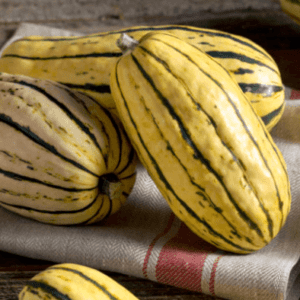 Kale and Quinoa Salad with Candied Delicata