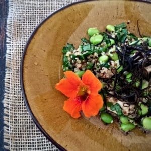 edamame quinoa salad