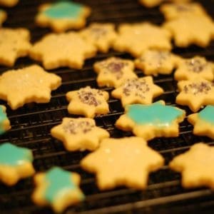 cream cheese sugar cookies