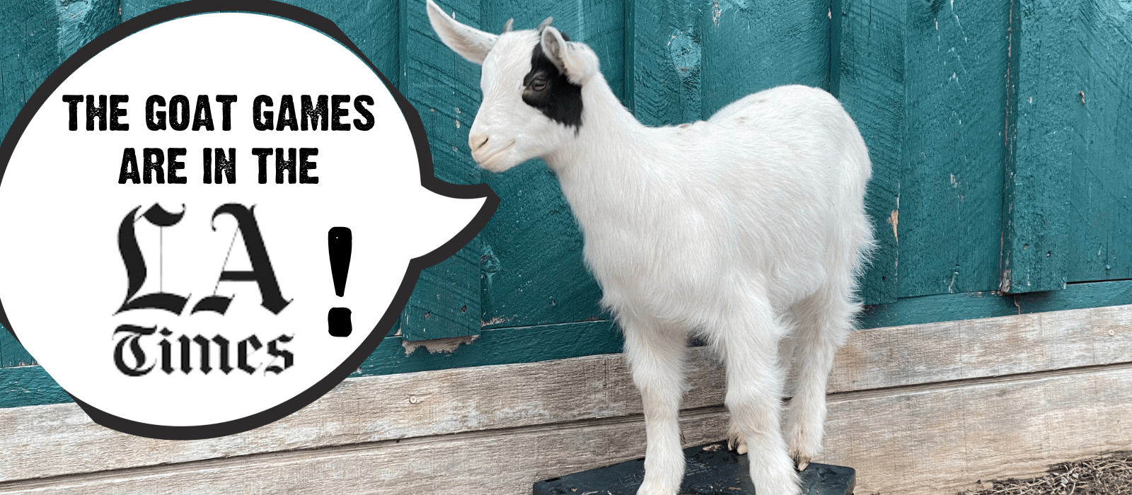 Have You Read The Latest Goat Games News?!