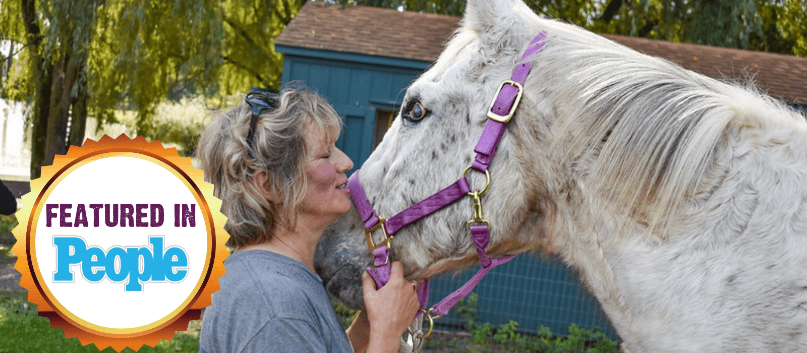 New Rescue: <br> A Blind Horse Named Buddy