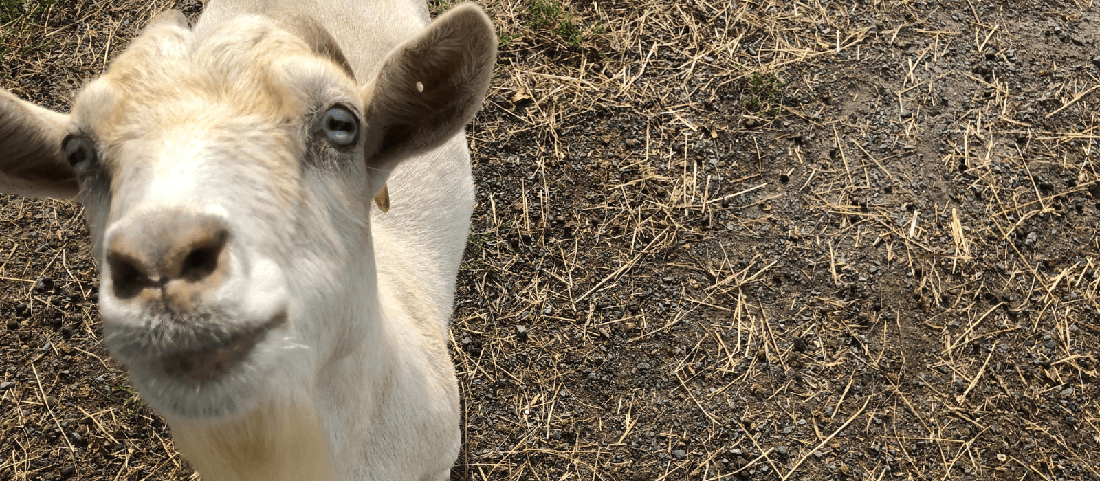 Check Out Our New Website!