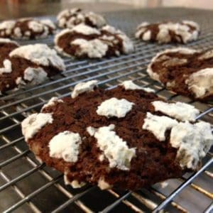 Chocolate Crackle Cookies