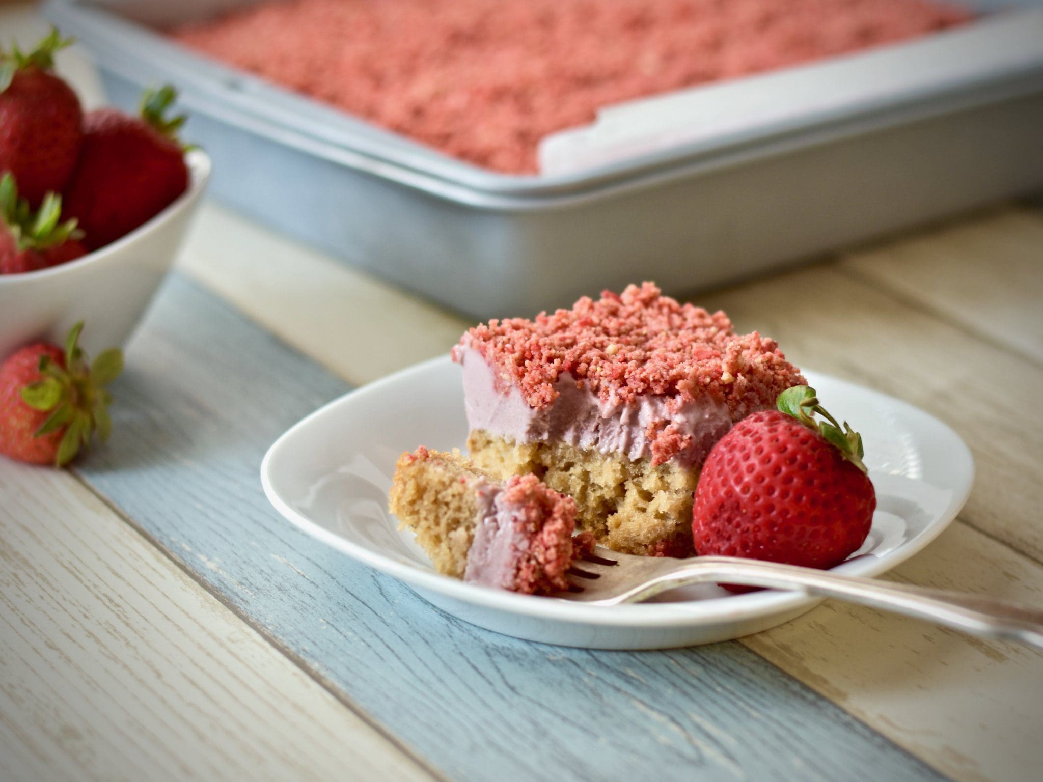 Frozen "Good Humor" Strawberry Shortcake Catskill Animal Sanctuary