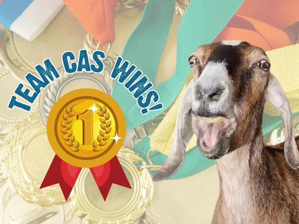 CAS Declares Victory — The Goat Games Are A Resounding Success